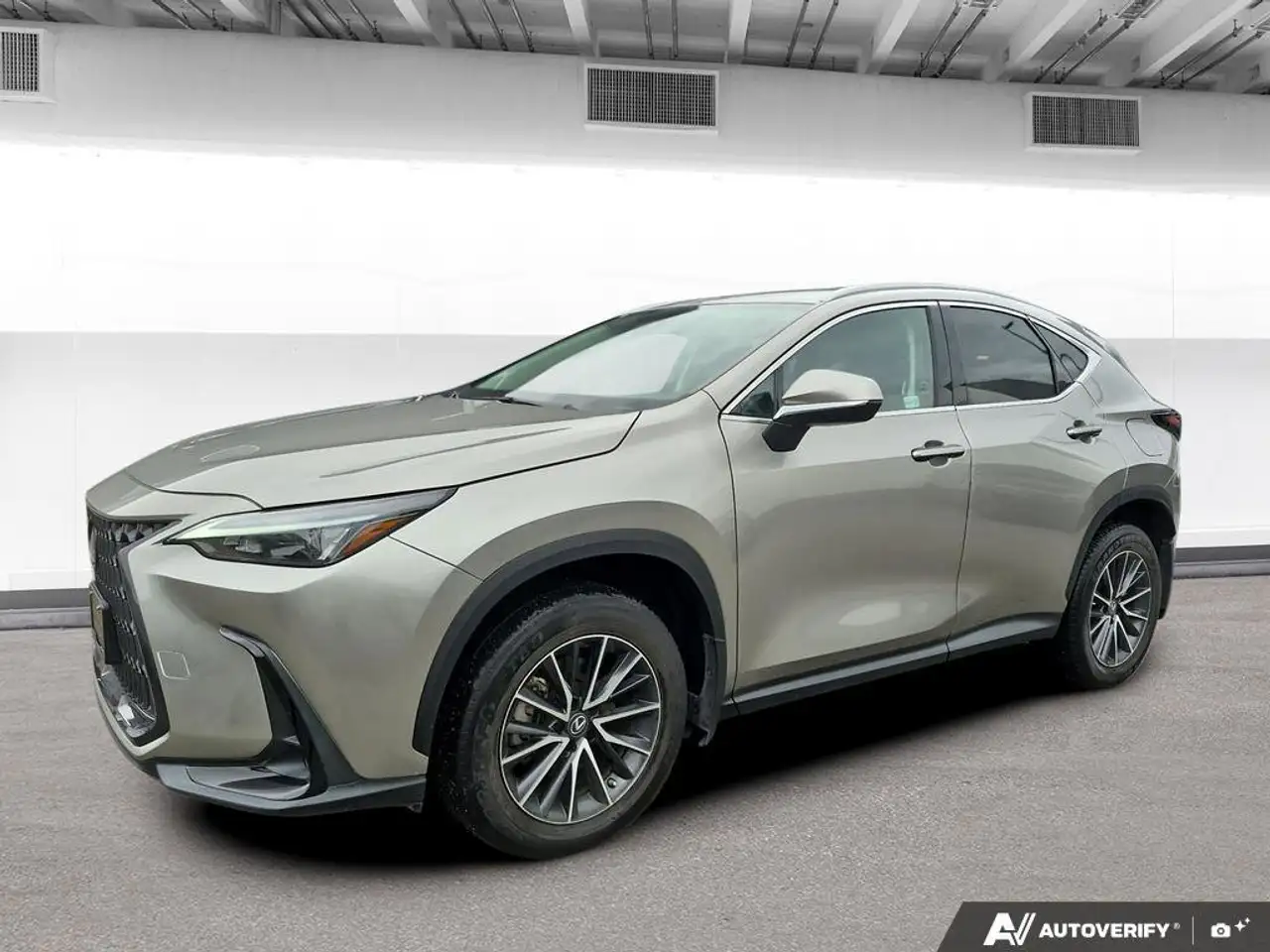 2023 Lexus NX