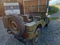 Jeep Willys Overland Truck 4x4 Zielony - thumbnail 3