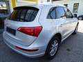 Audi Q5 2,0 TDI quattro DPF Grau - thumbnail 4