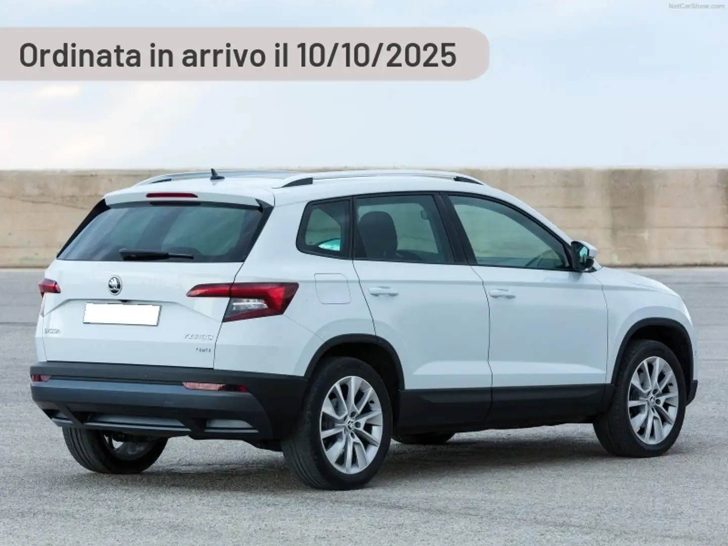 Skoda Karoq 2.0 TDI SCR DSG Selection Argento - 1