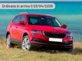 Skoda Karoq 2.0 TDI SCR DSG Selection Argento - thumbnail 4