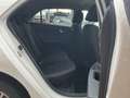 Kia Rio Klima Sitzheizung Blanc - thumbnail 10