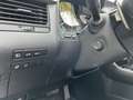 Lexus RX 450h 450h AT NAV 4x4 #Memory#Navi#360Kamera Grau - thumbnail 37
