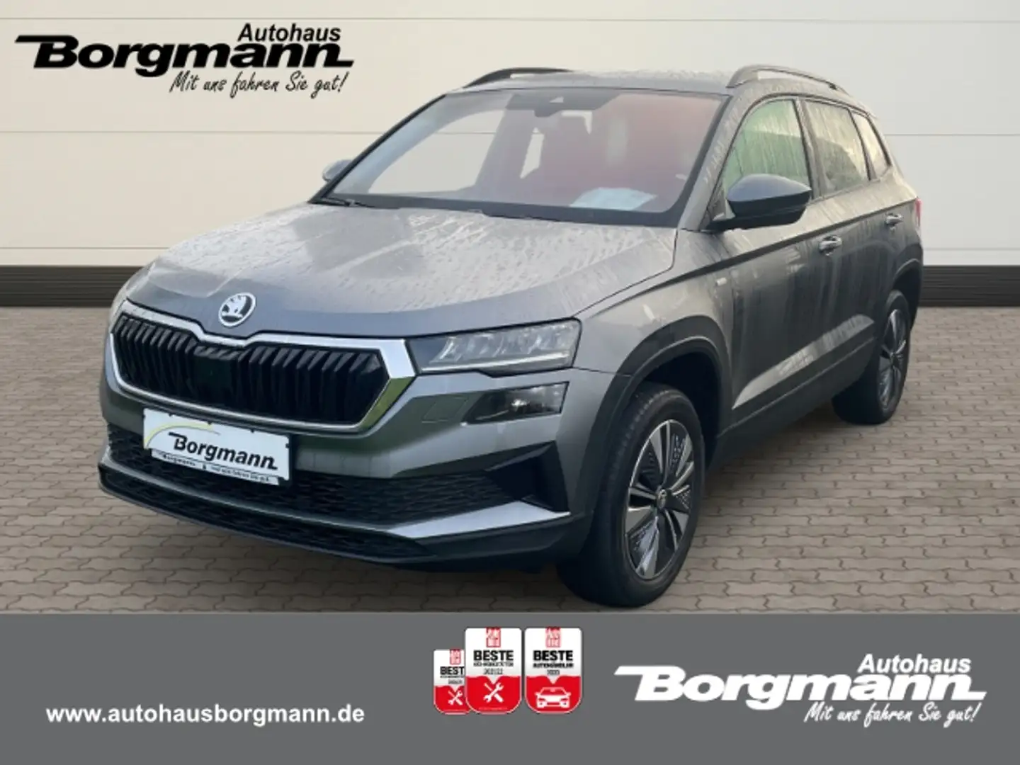 Skoda Karoq Tour 1,5 TSI 110kW DSG Navi digitales Cockpit LED Grau - 1