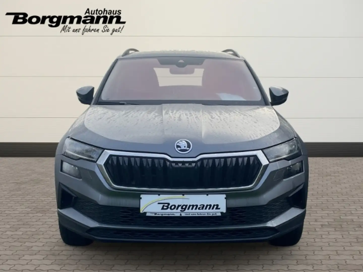 Skoda Karoq Tour 1,5 TSI 110kW DSG Navi digitales Cockpit LED Grau - 2