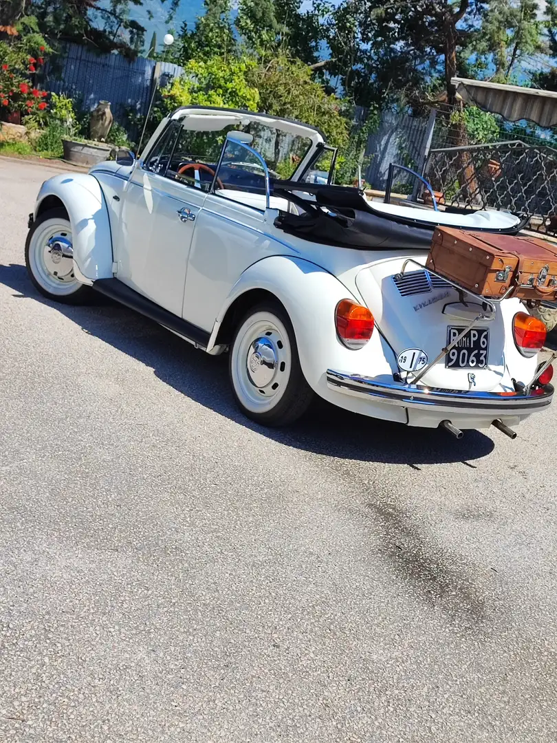 Volkswagen Maggiolino maggiolone cabrio - 2