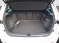 Skoda Karoq 1.5 TSI Sportline DSG / NAVI / KAMERA / MATRIX / A Weiß - thumbnail 16