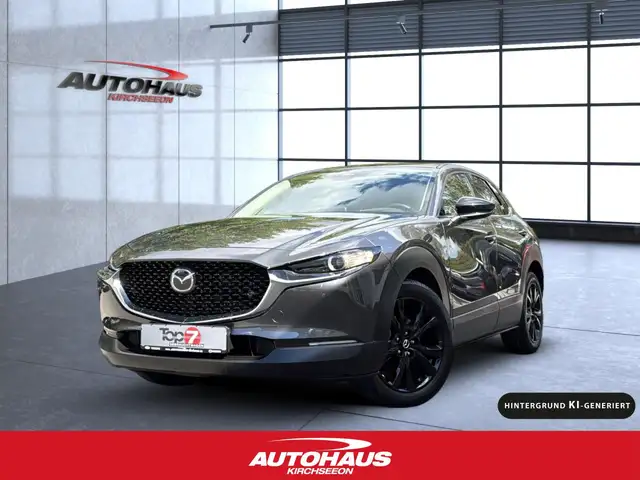 Mazda CX-30 2.0 SKYACTIV X Homura AWD Automatik Navi LED