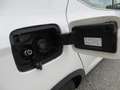 SEAT Arona FR 1,0 TGI LED Kamera Einparksystem Weiß - thumbnail 13