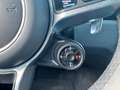 Porsche Cayenne 3.0 E-HYBRID|PLATINUM|PANO|LAGEKM|1STE EIGENAAR|20 Grau - thumbnail 30