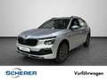 Skoda Kamiq Tour 1,0 TSI 85 kW 6-Gang-Schaltgetriebe Silber - thumbnail 1