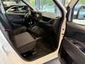 Fiat Doblo Doblò 1.6 MJT 105CV Pianale Cabinato Maxi Easy Blanco - thumbnail 15
