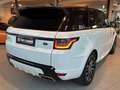 Land Rover Range Rover Sport 3.0 SDV6 HSE Dynamic |PANO|SPUR| Weiß - thumbnail 22