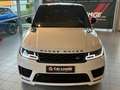 Land Rover Range Rover Sport 3.0 SDV6 HSE Dynamic |PANO|SPUR| Weiß - thumbnail 4