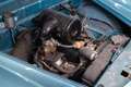 Fiat 1100 TV VIGNALE DESIREE Bleu - thumbnail 13