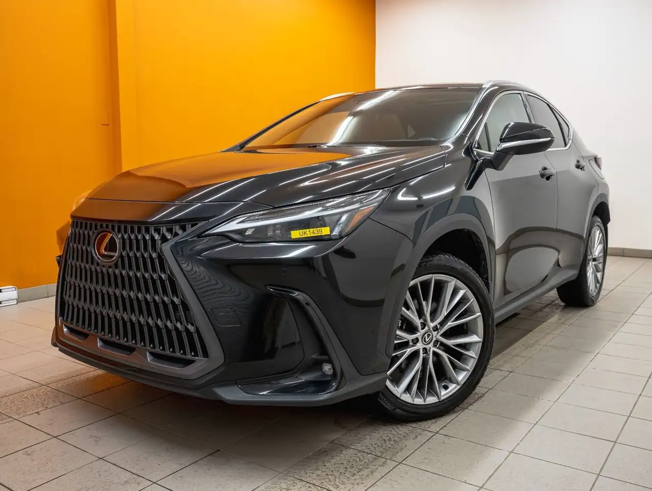 2024 Lexus NX photo 2024 Lexus NX