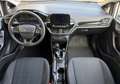 Ford Fiesta Trend 1,1 Start/Stop | 67.000 km | Klima | Temp... Weiß - thumbnail 10