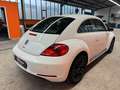Volkswagen Beetle 1.2 TSI Sitzheizung Klima Tempomat PDC Blanc - thumbnail 5