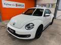 Volkswagen Beetle 1.2 TSI Sitzheizung Klima Tempomat PDC Blanc - thumbnail 1