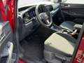 Ford Grand Tourneo Titanium 1,5 L2 7 Sitzer Klimaautomatik Anhänge... Rot - thumbnail 10