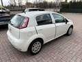Fiat Punto Evo 1.3 MJT SI A NEOPATENTATI Weiß - thumbnail 6