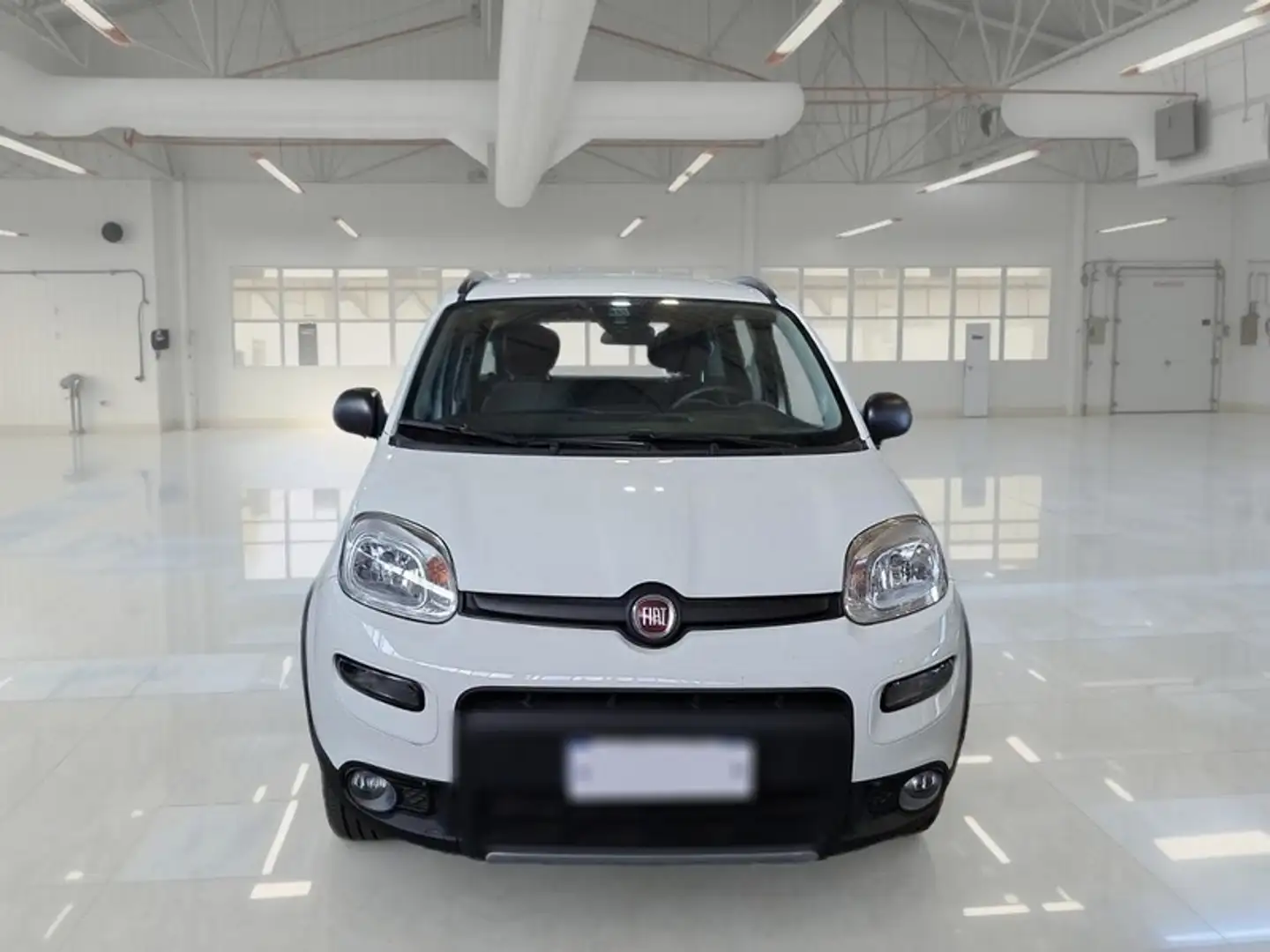 Fiat Panda 0.9 TwinAir Turbo 85cv Wild 4x4 5 PORTE - 2