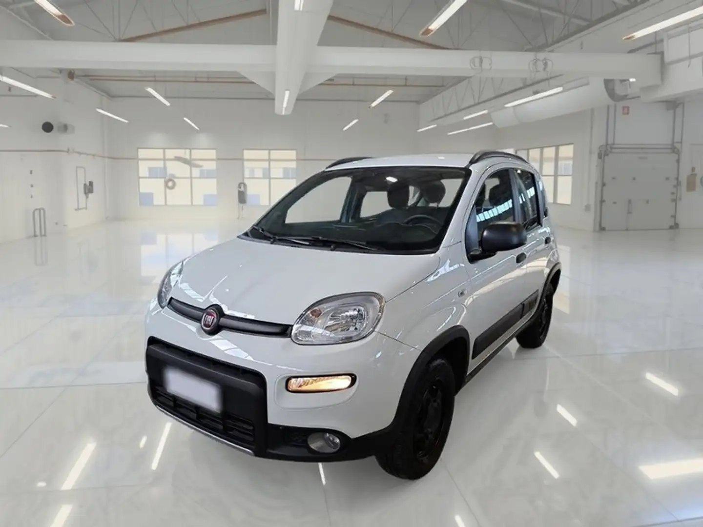 Fiat Panda 0.9 TwinAir Turbo 85cv Wild 4x4 5 PORTE - 1