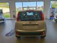 Fiat Panda 1.2 8v 69ch S\u0026S Easy  Euro6D Gris - thumbnail 5
