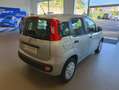 Fiat Panda 1.2 8v 69ch S\u0026S Easy  Euro6D Gris - thumbnail 4