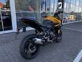 Triumph Tiger Sport 800 Sofort Verfügbar Žlutá - thumbnail 4