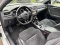 Skoda Superb Combi SportLine 4x4 DSG ACC+DCC+XENON+19' Weiß - thumbnail 10