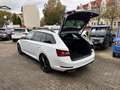 Skoda Superb Combi SportLine 4x4 DSG ACC+DCC+XENON+19' Weiß - thumbnail 8