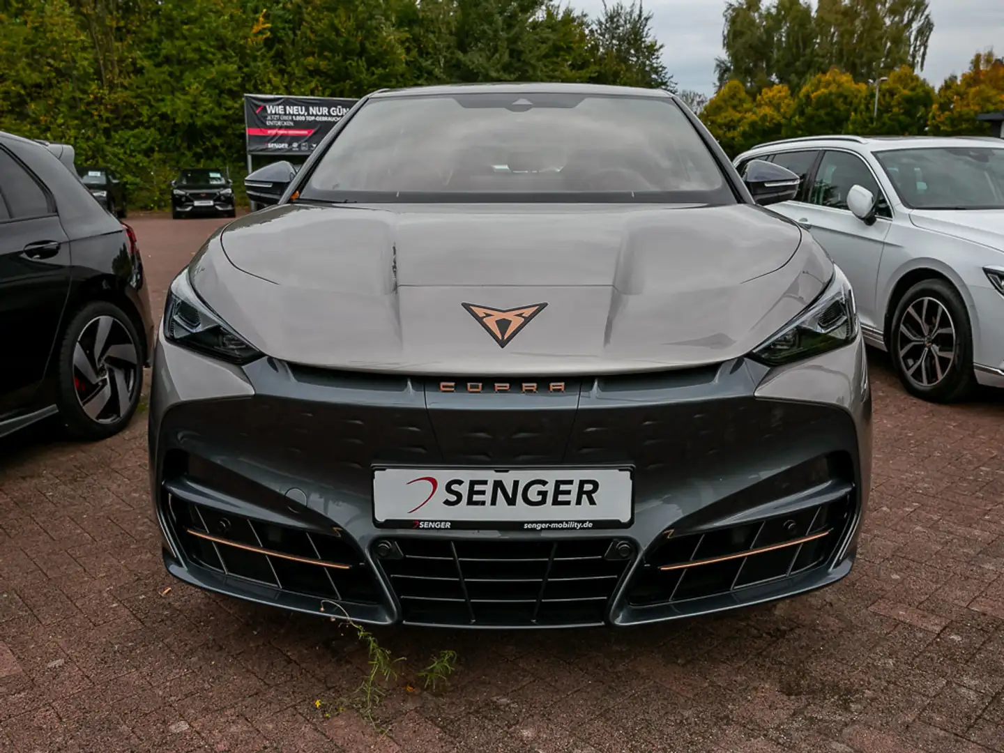 CUPRA Tavascan Edge LED PDC SHZ APP-Connect Wärmep. Bej - 2