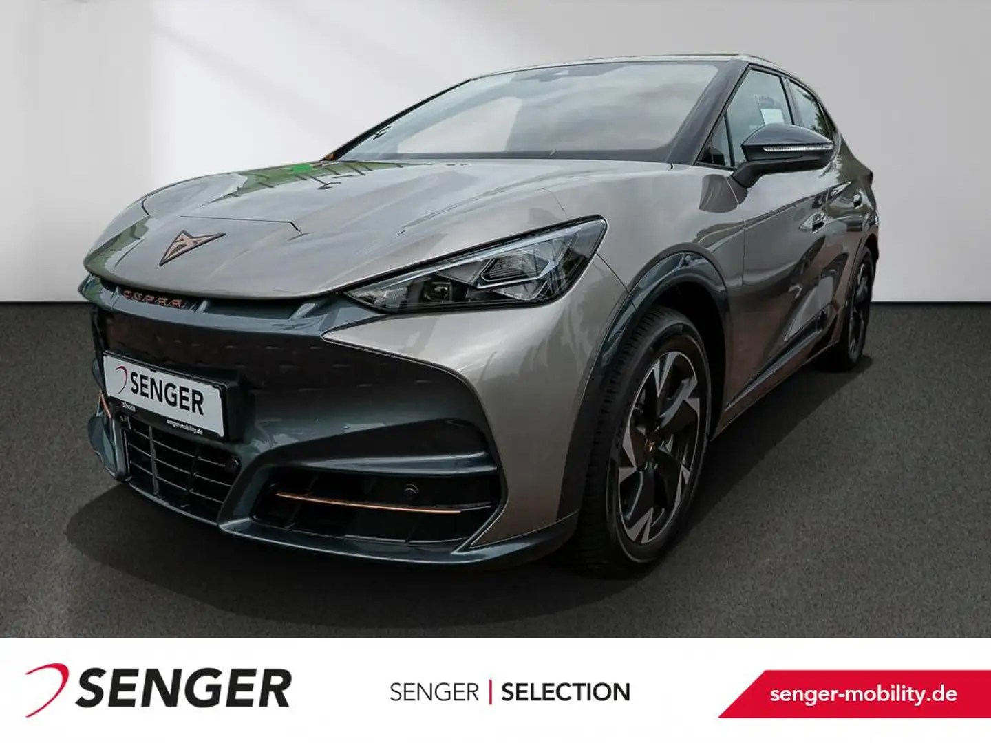 CUPRA Tavascan Edge LED PDC SHZ APP-Connect Wärmep. Beige - 1