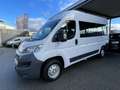 Fiat Ducato 150 L2H2 9-Sitzer 1.Besitz AHK nur 39.300Km Blanc - thumbnail 2