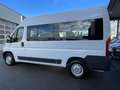 Fiat Ducato 150 L2H2 9-Sitzer 1.Besitz AHK nur 39.300Km Blanc - thumbnail 4