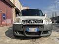 Fiat Doblo Fiat Doblò Coibentato Isotermico Frigorifero Bianco - thumbnail 2