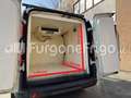 Fiat Doblo Fiat Doblò Coibentato Isotermico Frigorifero Bianco - thumbnail 6