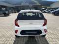 Kia Picanto 1,0 DP Titan Blanc - thumbnail 20