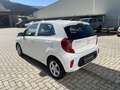 Kia Picanto 1,0 DP Titan Blanc - thumbnail 21
