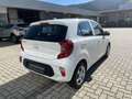 Kia Picanto 1,0 DP Titan Blanc - thumbnail 19