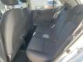 Kia Picanto 1,0 DP Titan Blanc - thumbnail 15