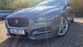 Jaguar XE XE E-Performance Aut. R-Sport.  kamera Grau - thumbnail 14
