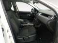 Land Rover Discovery Sport 2.0TD4 Pure 4x4 150 Blanco - thumbnail 10