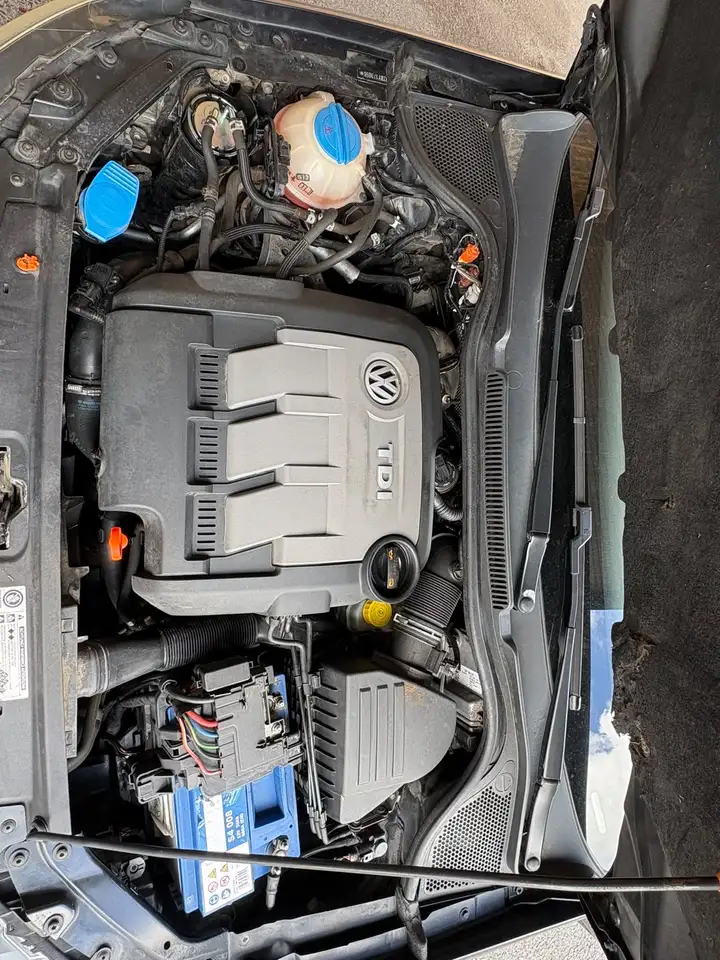 Volkswagen Polo Citadine 5 portes — photo 7