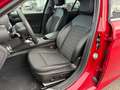 Alfa Romeo Giulia Super Rouge - thumbnail 13
