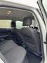 Volkswagen Polo 1,0 Comfortline TSI DSG Weiß - thumbnail 13