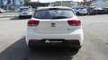 Kia Rio 1,2 DPI Neon ISG Weiß - thumbnail 5