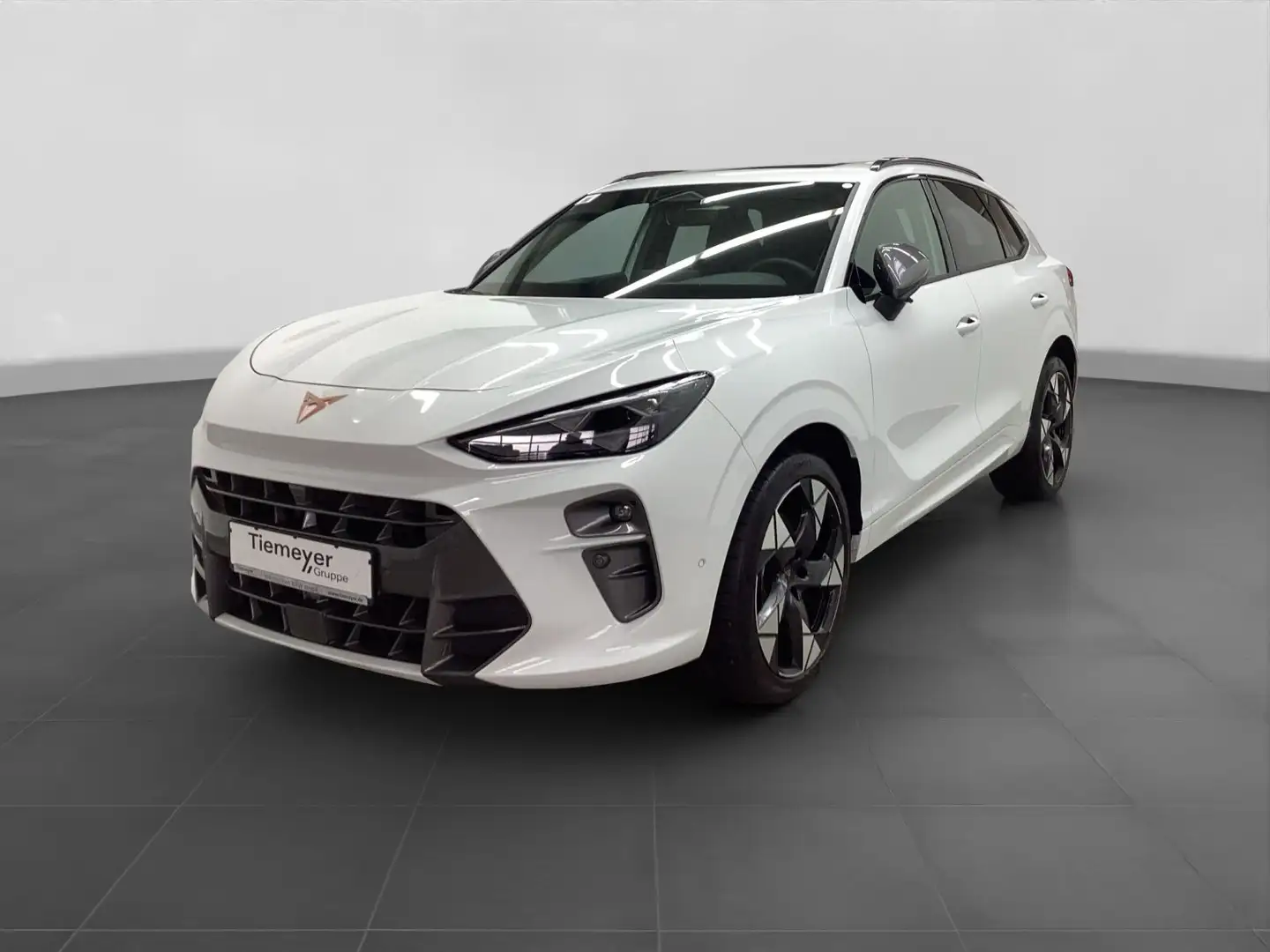 CUPRA Terramar VZ 2.0 TSI 4D LM20 PANO AHK SENNHEISER Weiß - 2