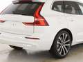 Volvo XC60 T8 Plus Bright Recharge Plug-In Hybrid AWD Weiß - thumbnail 9